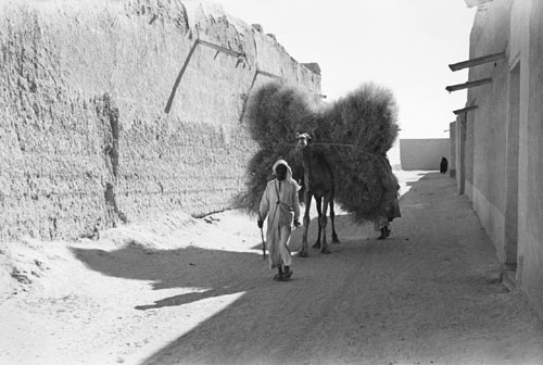 البراكس: صفيحة المازوت تتجه لتخطي 30 دولاراً الجمعة بفعل التوترات العالمية